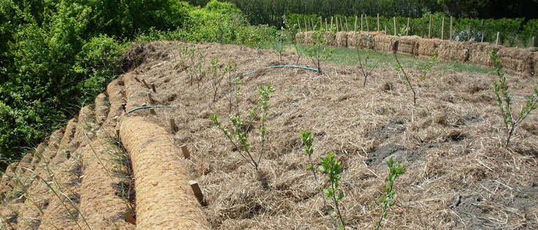 Coconut Coir Logs