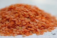 split red lentil