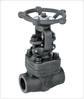 Globe Valve, Check Valve