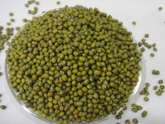 green mung beans