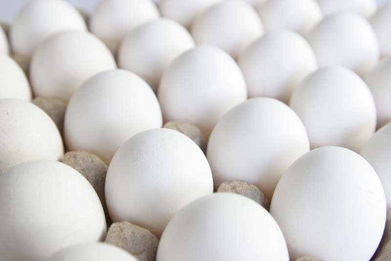 White Eggs