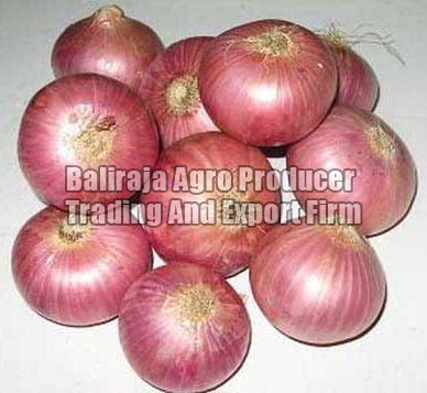 Organic fresh onion, for Cooking, Human Consumption