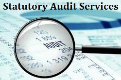 Statutory Audit Services