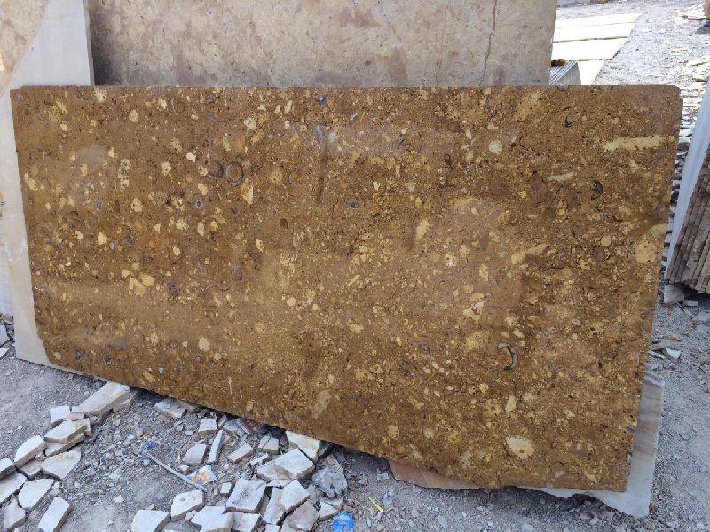 Polished Goldino Marble Slabs, Color : Golden