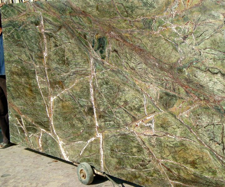 Polished Rainforest Marble Slabs, Size : 12x12 inch