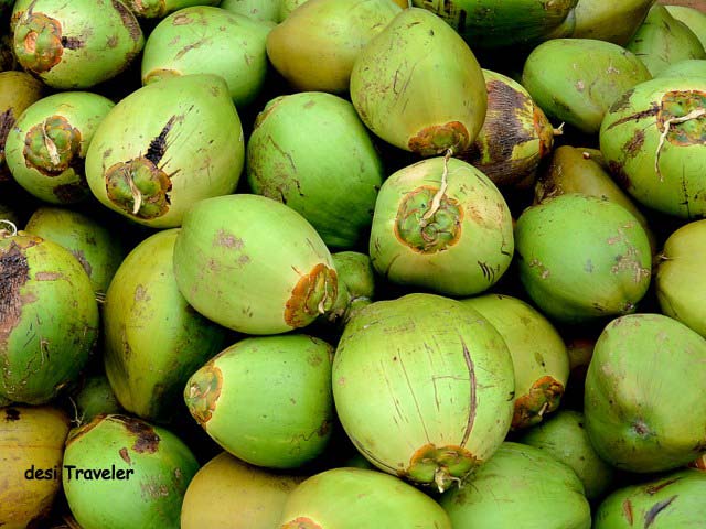 Soft Organic Tender Coconuts