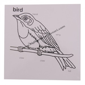Bird Puzzle Control Cards