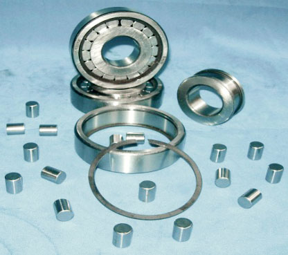 Special Cylindrical Roller Bearings