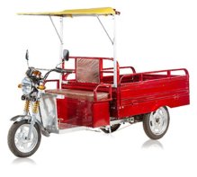 Cheeta E Rickshaw, Feature : Capacity
