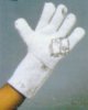 Asbestos Gloves