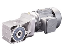 Worm Gear Motors & Gear Units