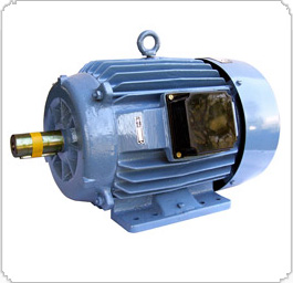 Inverter Duty Motor