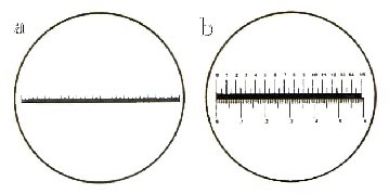 Linear Scale (RTBP001/2)