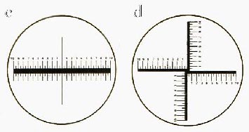 Linear Scale (RTBP007/8)