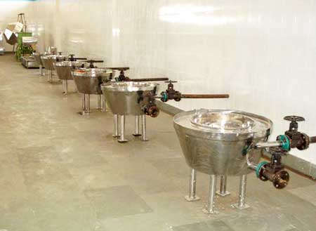 Snack Food Frying System