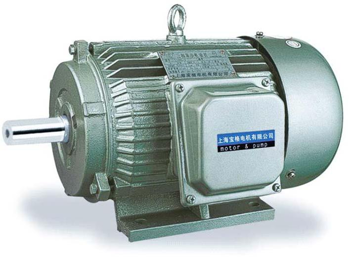 Electrical Induction Motor