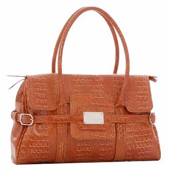 Ladies Leather Handbag (ca-lb-109)