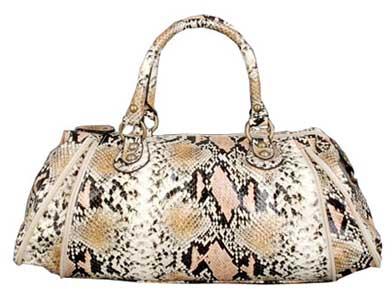 Ladies Leather Handbag (ca-lb-126)