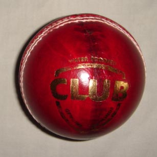 Leather Cricket Balls