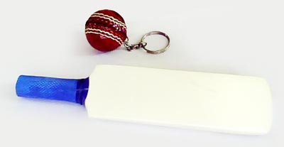 Mini Cricket Bat