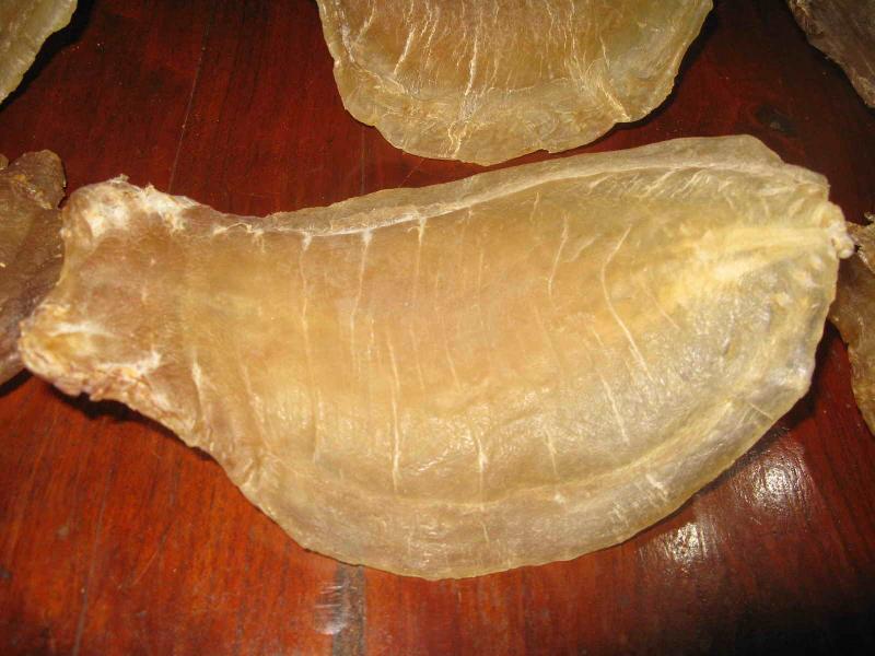 DRIED FISH MAW FROM VIETNAM with BEST PRICE