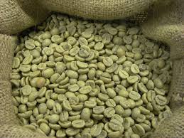 Green Coffee Bean Extract Powder,Coffea L. (Coffea robusta or Coffea arabica) for sale