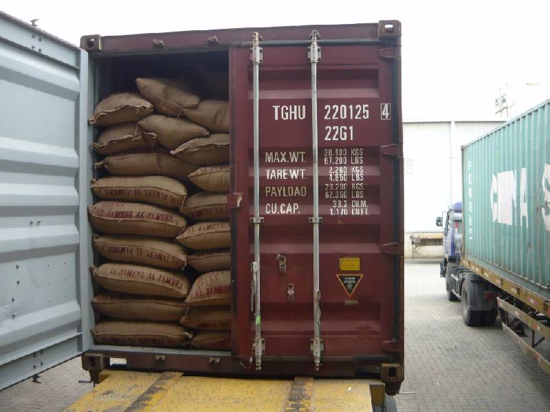 New excellent quality robusta green coffee beans for sale