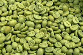 SALE BULK SUPPLY GREEN COFFEE ARABICA SPECIALITY COFFEE