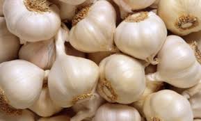 Fresh garlic