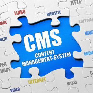Cms Based Website Development