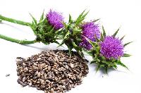 liver herbal medicine