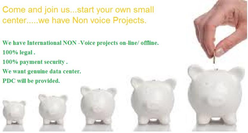 On line non voice BPO  projects