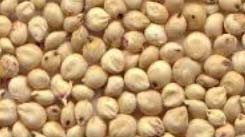 Sorghum Millet, Color : White