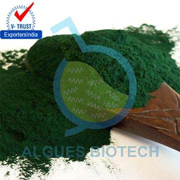 Algae Powder