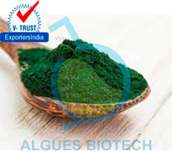 Spirulina Algae Powder, Form : Puducherry