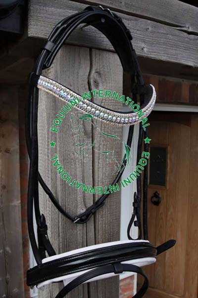 Leather Bridles