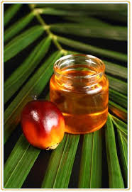 Refined Palm Kernel Oil