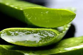 Aloevera Gel, for Parlour, Personal, Packaging Type : Bottle