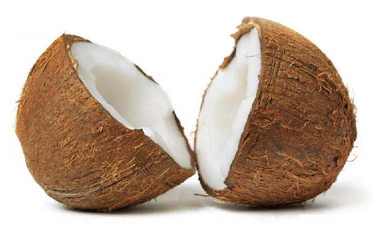 Soft Natural Fresh Coconut, for Cosmetics, Medicines, Pooja, Feature : Free From Impurities, Freshness