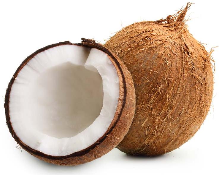 Organic Soft Fresh Coconut, for Cosmetics, Medicines, Pooja, Feature : Free From Impurities, Freshness