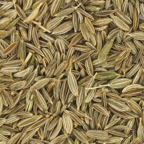 Cumin seeds, for Cooking, Feature : Improves Acidity Problem, Premium Quality