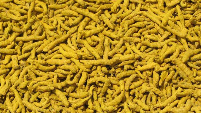 Organic Erode Turmeric Finger, for Ayurvedic Products, Cooking, Cosmetic Products, Form : Solid