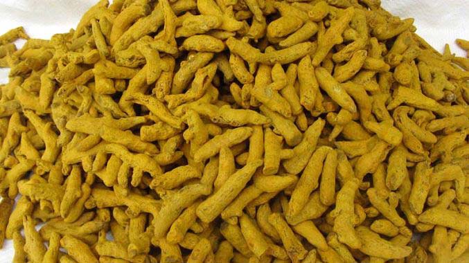Natural Mini Salem Turmeric Finger, for Ayurvedic Products, Cooking, Cosmetic Products