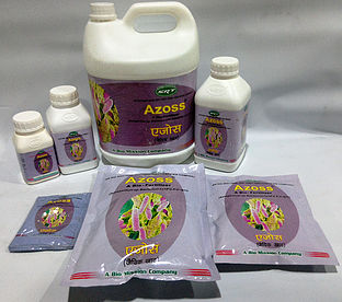 Azoss- Azospirillum Based Nitrogen Fixing Product
