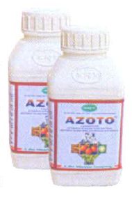 Azoto- Azotobacter Biofertilizer