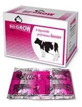 Dairy Bolus Biogrow