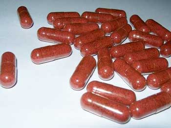 Human Probiotic Tablets (SERA  5)