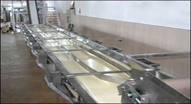 Inspection Conveyor