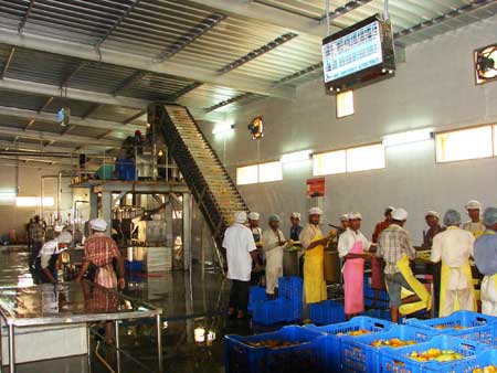 Mango Processing Plant