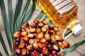 Rbd Palm Oil, Crude Palm Oil
